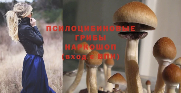 герыч Сафоново