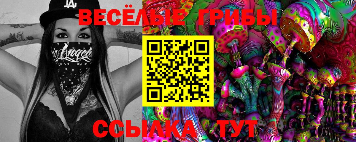 Каменка  Галлюциногенные грибы GOLDEN TEACHER  где найти   Вход с VPN 