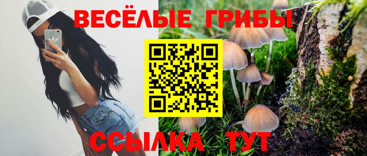 Мефедрон   APVP СОЛЬ кристаллы  Бошки Шишки  Cocaine  Где купить наркотики?  Каменка  Вход с VPN 