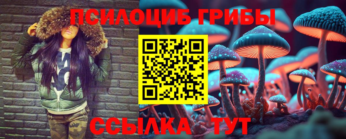 Галлюциногенные грибы MAGIC MUSHROOMS Каменка